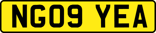 NG09YEA