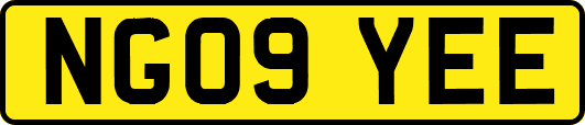 NG09YEE