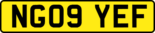 NG09YEF