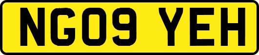 NG09YEH