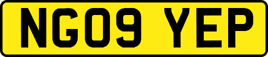 NG09YEP