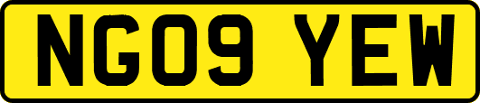 NG09YEW