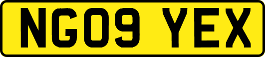 NG09YEX