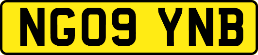 NG09YNB