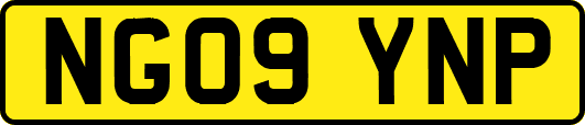 NG09YNP