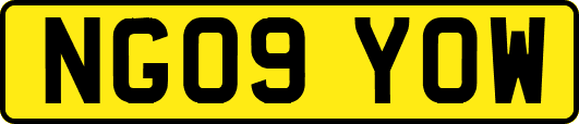 NG09YOW