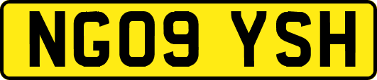 NG09YSH