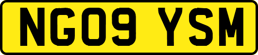 NG09YSM