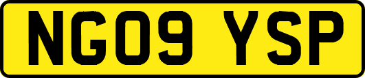 NG09YSP