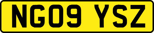 NG09YSZ