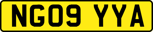 NG09YYA