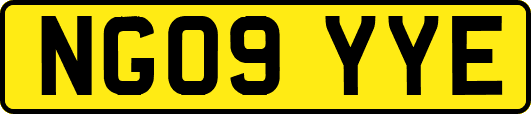NG09YYE