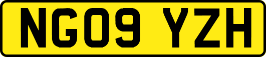 NG09YZH