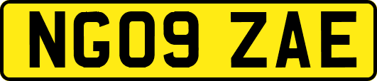 NG09ZAE
