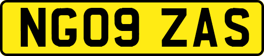 NG09ZAS