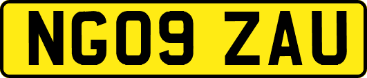 NG09ZAU