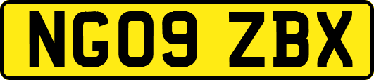 NG09ZBX