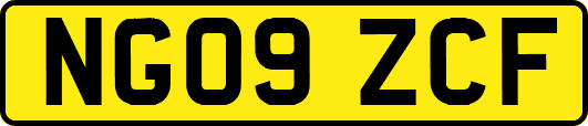 NG09ZCF