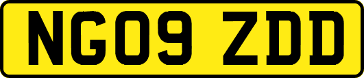 NG09ZDD