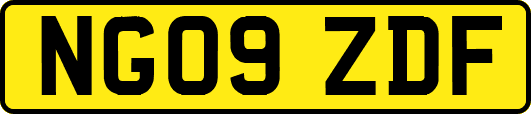 NG09ZDF