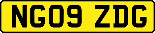 NG09ZDG