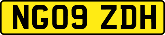 NG09ZDH