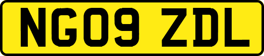 NG09ZDL