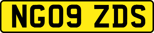 NG09ZDS