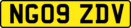 NG09ZDV