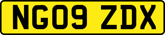 NG09ZDX
