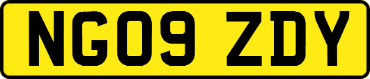NG09ZDY