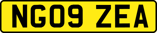 NG09ZEA