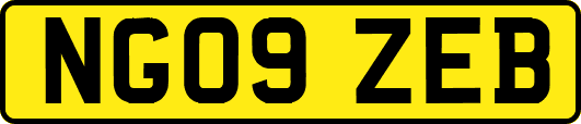 NG09ZEB