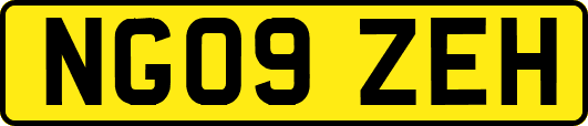 NG09ZEH