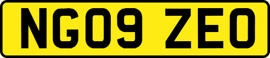 NG09ZEO