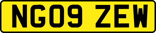 NG09ZEW