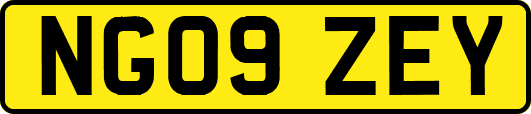 NG09ZEY