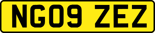 NG09ZEZ