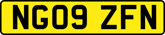 NG09ZFN