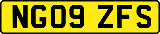 NG09ZFS