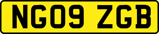 NG09ZGB