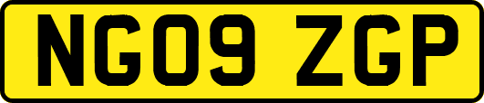 NG09ZGP