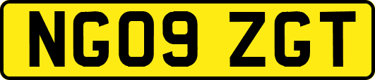 NG09ZGT