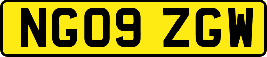 NG09ZGW