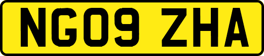 NG09ZHA
