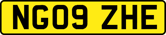 NG09ZHE