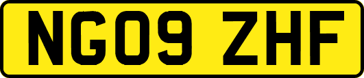 NG09ZHF
