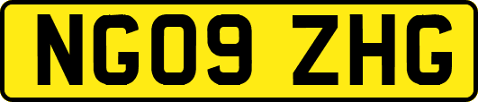 NG09ZHG