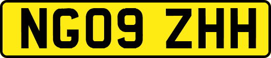 NG09ZHH