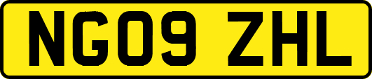 NG09ZHL
